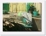 P1030319 * erstmal ein Sonnenbad * 612 x 461 * (63KB)