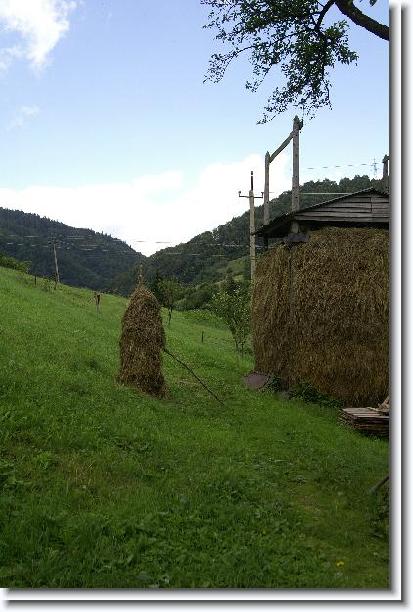 Nächstes Bild