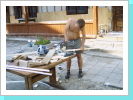 Klicken Sie auf das Bild, um es zu vergrößern